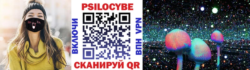 как найти закладки  Дудинка  Псилоцибиновые грибы Magic Shrooms 